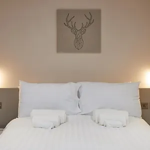 Humber Lofts Apartment